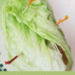 Turkey and Bacon Lettuce Wraps Pinterest Pin