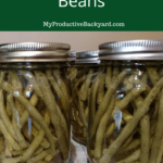 Pickled Green Beans Pinterest Pin